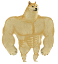 :doge_strong: